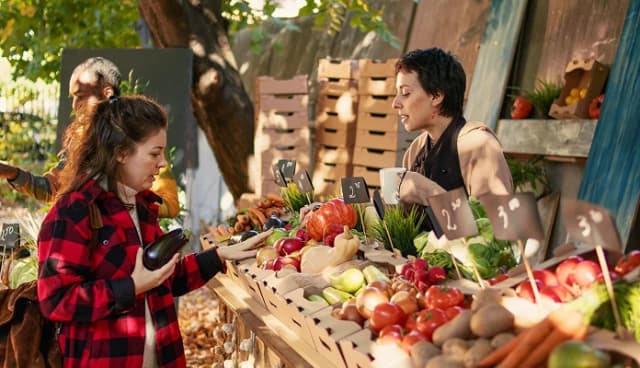 Farmers Markets & Creator Markets